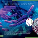 Микромир. Детская энциклопедия Levenhuk