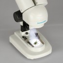 Микроскоп стереоскопический Delta Optical StereoLight