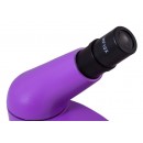 Микроскоп Levenhuk 50L Аметист (в кейсе)