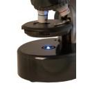 Микроскоп Levenhuk LabZZ M101 Moonstone\Лунный камень